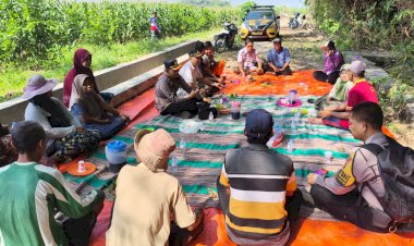 Menjelang-Panen-Raya,-Polsek-Balongbendo-Kawal-21-Hektare-Jagung-Hibrida-Demi-Sukseskan-Swasembada-Pangan