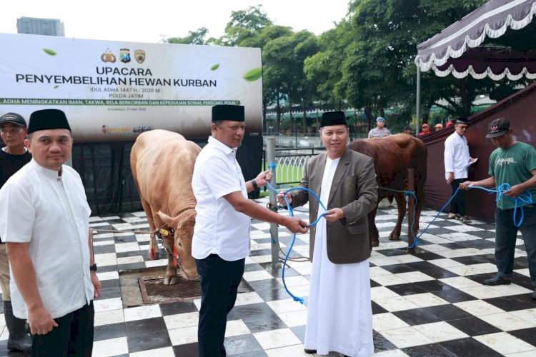 Iduladha 1447 H Polda Jatim Salurkan Ratusan Hewan Kurban untuk Masyarakat